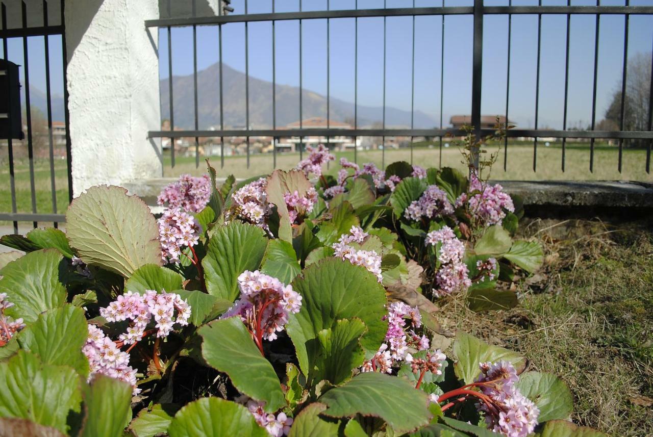 Rosta Villa Mirelia المظهر الخارجي الصورة